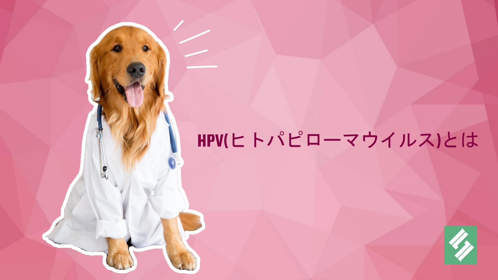 HPV（ヒトパピローマウイルス）とは？